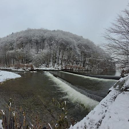 Goscinny Dom Ustroň Exteriér fotografie