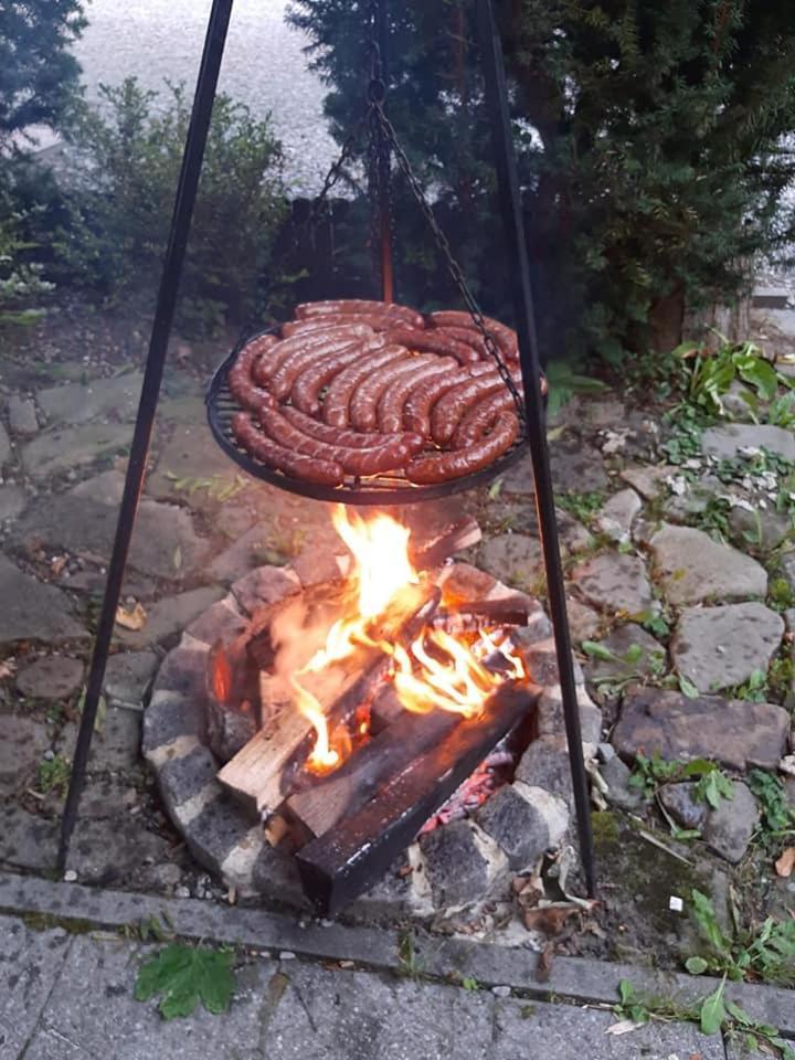 Goscinny Dom Ustroň Exteriér fotografie