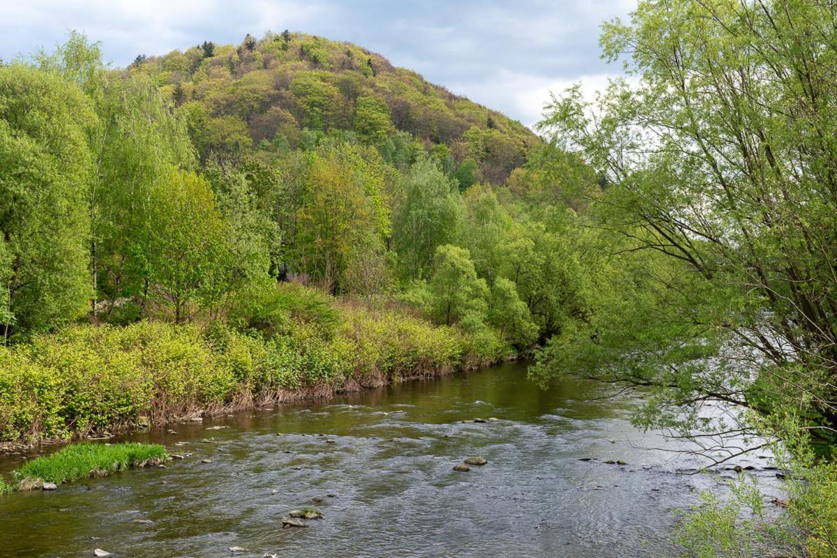 Goscinny Dom Ustroň Exteriér fotografie